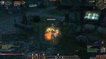 Leveling in Warmode: The Experience