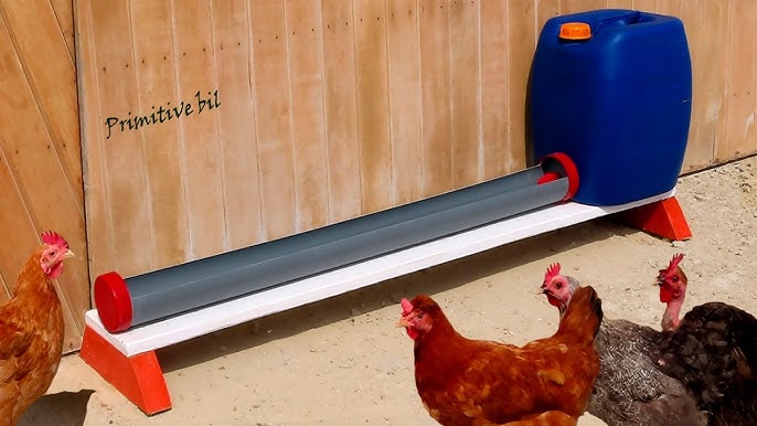 Abreuvoir PVC pour poules - Rovagro