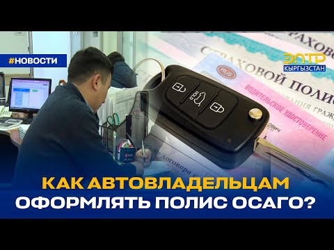 Video: OSAGO саясатынын аныктыгын ар кандай жолдор менен кантип текшерсе болот