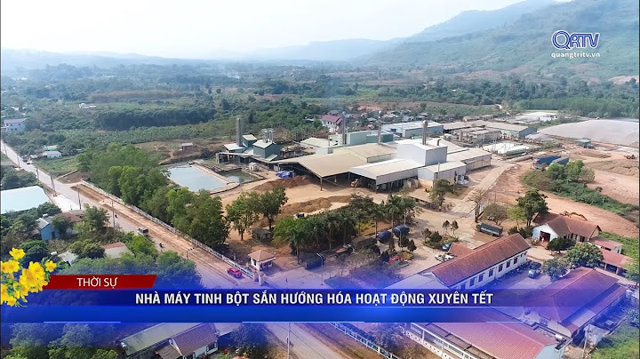 Nguồn nguyên liệu nhà máy tinh bột sắn hương hóa năm 2024