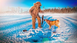видео: ДОБРАЛИСЬ ДО ТАЁЖНОЙ ИЗБУШКИ. НЕОЖИДАННАЯ РЫБАЛКА НА ЛЕСНОМ ОЗЕРЕ. ЖЕРЛИЦЫ ПРИНОСЯТ ТРОФЕЙ. картинка: ДОБРАЛИСЬ ДО ТАЁЖНОЙ ИЗБУШКИ. НЕОЖИДАННАЯ РЫБАЛКА НА ЛЕСНОМ ОЗЕРЕ. ЖЕРЛИЦЫ ПРИНОСЯТ ТРОФЕЙ.