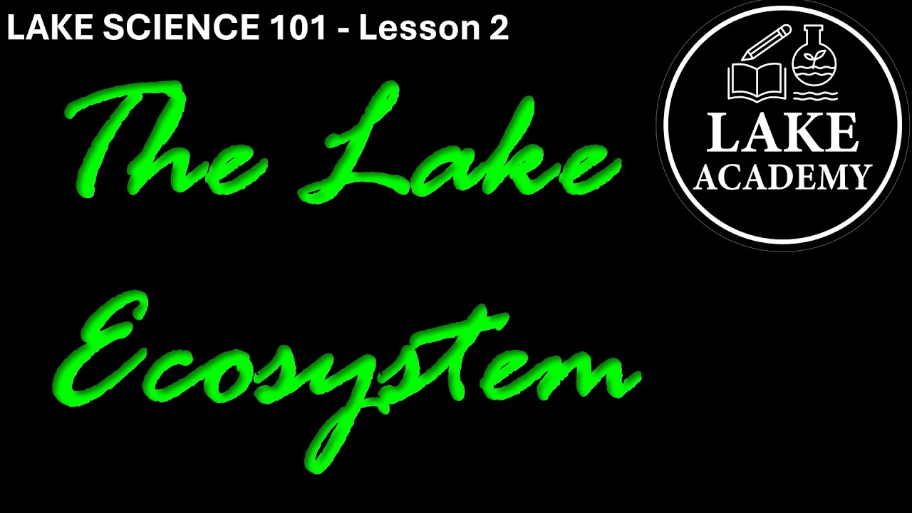 The Lake Ecosystem