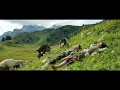 『ハイジ アルプスの物語』吹替予告