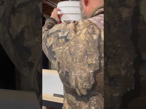 يا عسلتي يا من تقذف دلو العسل