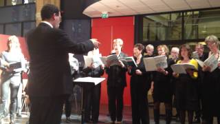 Alkmaar Vocaal Zingt Fauré