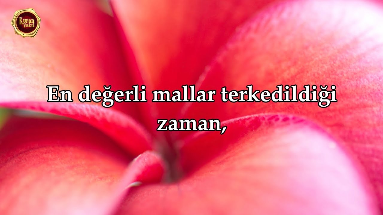 Watch Tekvir Suresi - Ahmed Khedr on YouTube Watch Tekvir Suresi - Ahmed Khedr on YouTube