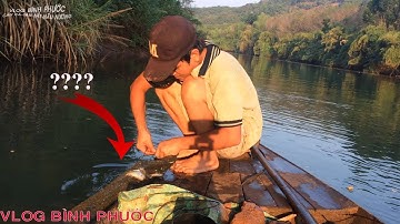 Đặt Bẫy Cá 12 Cửa Ngục Tưởng Không Có Cá Ai Ngờ....| fish trap |Vlog Bình Phước