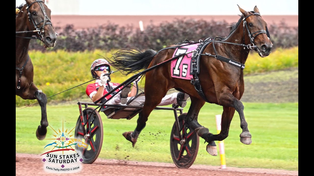 jiggy-jog-dexter-dunn-wins-sebastian-k-invitational-100-000-in-1