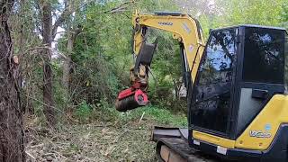 Forestry Mulcher Clearing Land Fecon fmx36