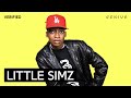 Capture de la vidéo Little Simz "Gorilla" Official Lyrics & Meaning | Verified