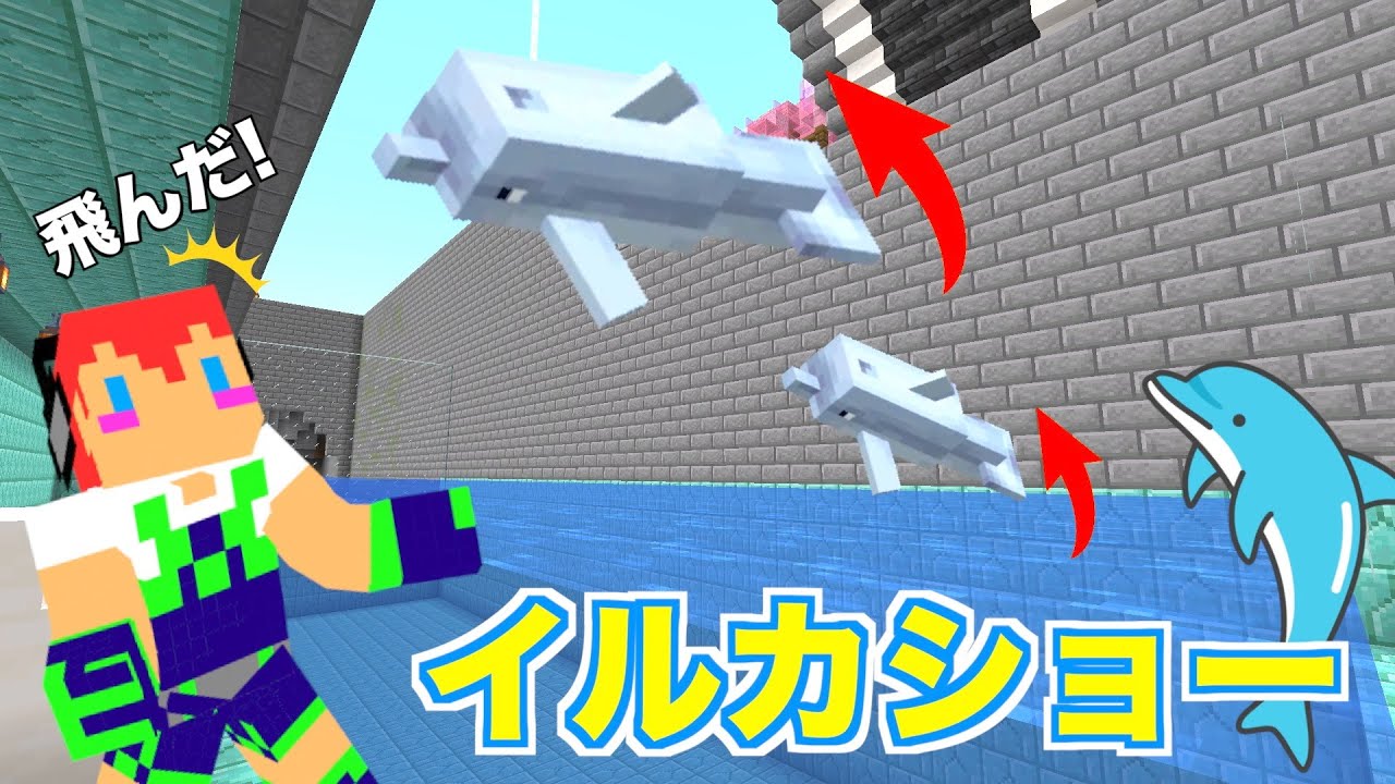 大好評！本当に大ジャンプするイルカショーが出来ました＃114「じゃ 