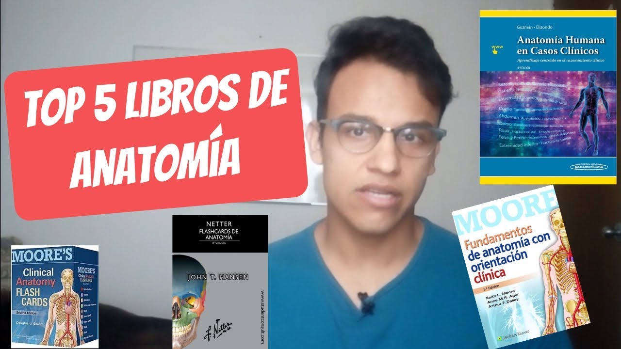 anatomia con orientacion clinica moore 7 edicion pdf descargar gratis