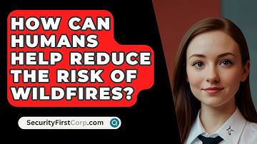 How Can Humans Help Reduce The Risk Of Wildfires? - SecurityFirstCorp.com