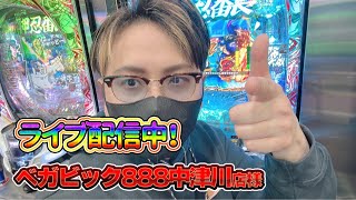 【生配信】ぶっ込み君！ベガビック888中津川店で番長！！#パチンコ #shorts #パチスロ