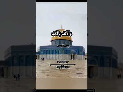 وكتبنا عليهم فيها ان النفس بالنفس والعين بالعين والانف بالانف والاذن بالاذن والسن بالسن والجروح قصاص