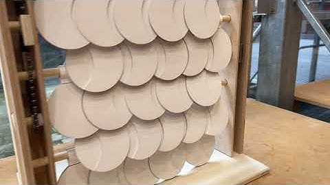 Bucky Lab Expo 2022 - Weird Shades