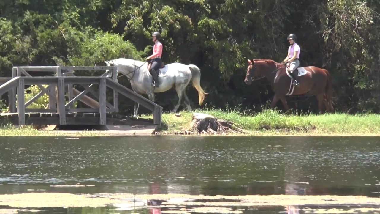 BRAWLEY FARMS Double Oak, Texas YouTube
