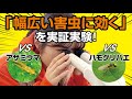 グレーシアは本当に幅広い害虫に効くのか？アザミウマ、ハモグリバエで実証実験！