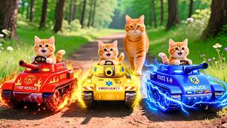 Live 🔴Mama Cat And Kitten ✨Funny Cat | Kucing 🌻 Cat Videos 😿 Cute Cat | Meow Meow screenshot 3