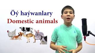Inlis Dili Owrenmek. Öý Haýwanlary