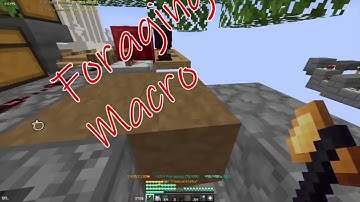 BEST Foraging Macro Mod Hypixel Skyblock November 2025