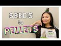 HOW TO GET YOUR BIRD TO EAT PELLETS | Seeds VS Pellets, Pellet Diet For Parrots, Tips and Tricks