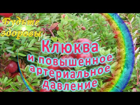 Клюква и повышенное артериальное давление