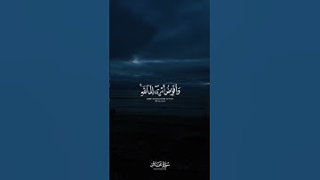 وَأُفَوِّضُ أَمري إِلَى اللَّهِ 🤍 ｜ سورة غافر ｜ أحمد النفيس ｜ قرآن كريم
