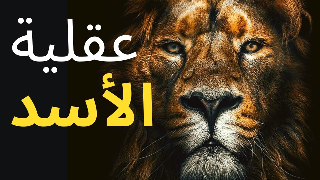 عقلية الأسد - أقوى فيديو تحفيزي عن النجاح