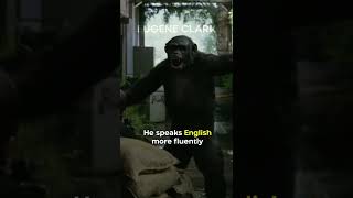 Did You Know In Dawn Of The Planet Of The Apes