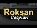 Roksan Caspian naprawa [Reduktor Szumu] #203