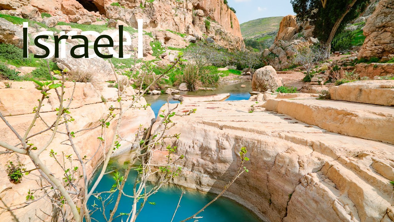 Иудея и Самария (Западный берег), между Иерусалимом и Иерихоном. Природный заповедник Эйн Прат.