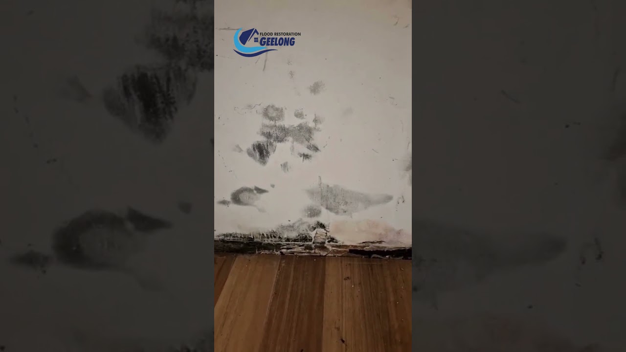 Flood Damage Restoration Geelong: 24/7 Emergency Response