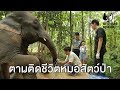 ตามติดชีวิตหมอสัตว์ป่า : Animals Speak [by Mahidol]