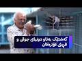 ژین و فەرهاد گەشتێک بەناو دونیای جوانی و فڕینی کۆترەکان