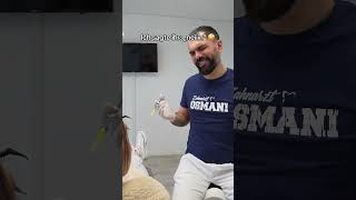 Spritze Beim Zahnarzt