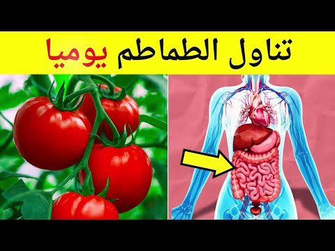 شاهد ما سيحدث لجسمك اذا تناولت الطماطم يوميا - 10 فوائد مذهلة للطماطم (البندورة)