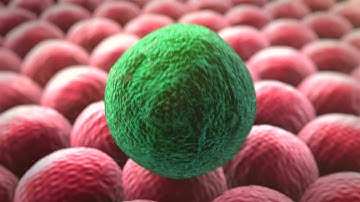 Cell division | 3D animation