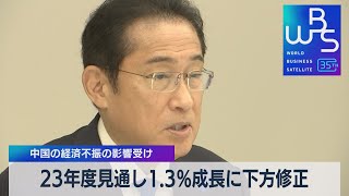 23年度見通し1.3%成長に下方修正　中国の経済不振の影響受け【WBS】（2023年7月20日）