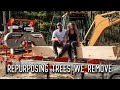 Milling Big Beautiful Timbers from Trees We Take Down | Norwood HD36 Portable Sawmill