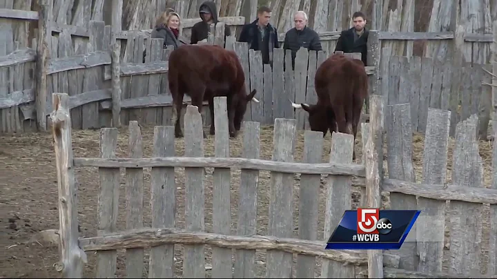 Archaelogists may have discovered original 1620 Plymouth settlement