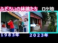 【1983年ドラマ】【石原真理子】【手塚里美】【中井貴一】【柳沢慎吾】【時任三郎】【中島晶子】