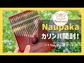 Naupaka(ナウパカ)カリンバ17キー初心者セット開封動画