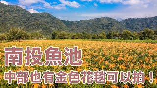 日月潭金針花季2022拍金針花＆體驗活盆地｜13的旅行 