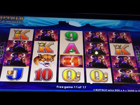 Buffalo Deluxe 馃Μ BIG WINS @ Chumash Casino馃挵馃挵馃挵#slotman #casino #slots