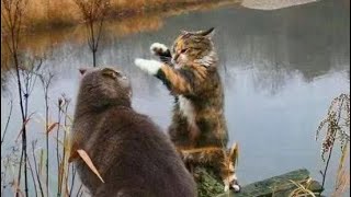 王歪嘴：讲一个被社区领导恩赐“黄码”的一家人因祸得福的故事