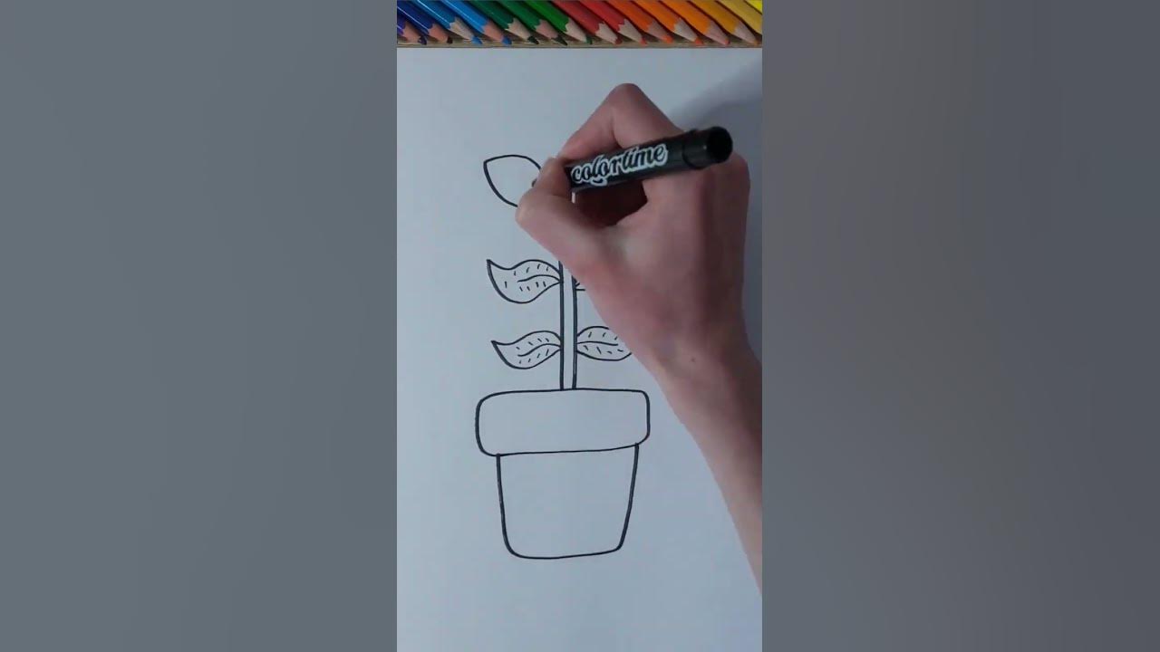 How to draw easy... a Plant✨️🪴 #shorts