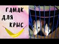 Гамак для крыс | Декоративные крысы | Гамак своими руками