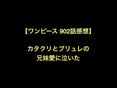 ワンピース 902話感想 カタクリとブリュレの兄妹愛に泣いた Youtube