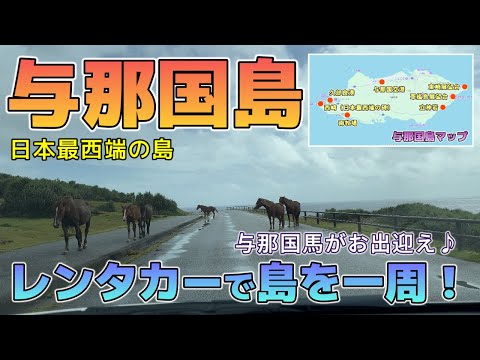 【与那国島】日本最西端の島。レンタカーで島内一周観光、与那国馬がたくさん道路にいました。移動中最高の景色がほぼ独り占め状態でした!